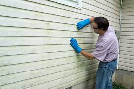 Best Insulated Siding Installation  in Brownsville, FL